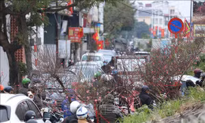 Có một Hà Nội rất riêng khi Tết đến Xuân về 