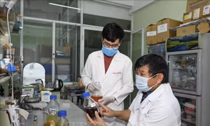 Công bố kết quả nghiên cứu tiền lâm sàng thuốc điều trị COVID-19 bằng thảo dược 