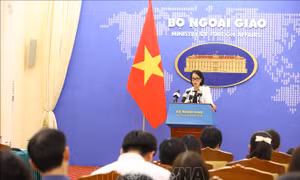 Phối hợp chặt chẽ cụ thể hóa Tuyên bố chung Việt Nam - Hoa Kỳ