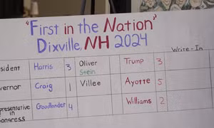 Kết quả điểm bỏ phiếu đầu tiên: Cử tri tăng, ông Trump và bà Harris hoà nhau