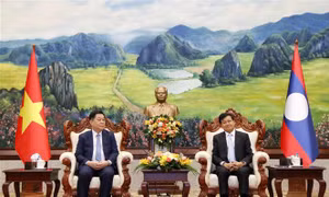 Tổng Bí thư, Chủ tịch nước Lào tiếp đoàn đại biểu Đảng Cộng sản Việt Nam