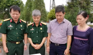 Những cựu chiến binh Thủ đô xông pha trên mặt trận kinh tế, xây dựng quê hương giàu đẹp