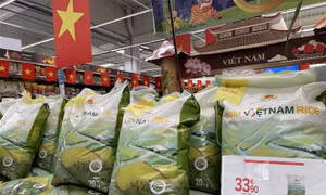 Giá gạo xuất khẩu từ Việt Nam, Thái Lan cao nhất trong hơn một thập kỷ