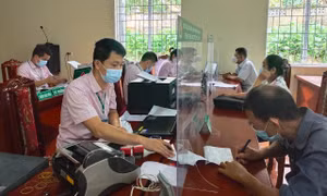 326.000 lượt hộ nghèo, đối tượng chính sách ở Bắc Kạn được vay vốn phát triển sản xuất