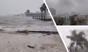 Video bão Milton bắt đầu tấn công bang Florida (Mỹ), có thể gây sóng thần cao 4m