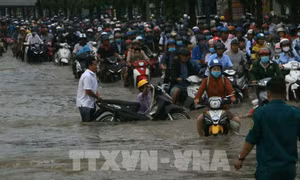 Cần Thơ khẩn cấp ứng phó với triều cường cao nhất năm
