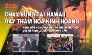 Tin tức TV: Cháy rừng ở Hawaii gây thảm hoạ kinh hoàng; xung đột tại Ukraine tạo thách thức mới với an ninh lương thực