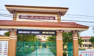 Làm rõ vụ hiệu trưởng và hiệu phó trường tiểu học xô xát ngay tại trường