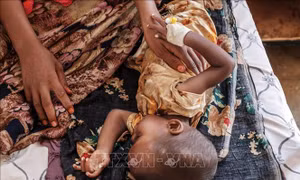 Cơ quan LHQ tại Ethiopia bị cướp mất nửa triệu tấn dầu, hàng triệu người đói càng thêm đói