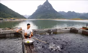 Tuyên Quang nỗ lực thực hiện công tác giảm nghèo bền vững