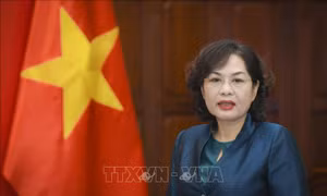 Ngân hàng đã cung cấp thông tin vụ chuyển hơn 30.000 tỷ đồng ra nước ngoài