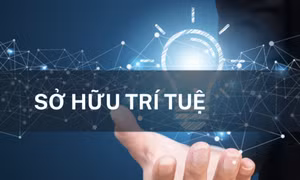 Phương án xử lý thay đổi địa chỉ người nộp đơn, bằng bảo hộ, chỉ dẫn địa lý do sắp xếp lại đơn vị hành chính 