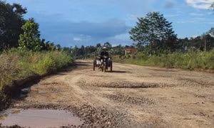 Sau 3 năm chậm tiến độ, dự án đường tránh phía Nam TP Bảo Lộc trở nên hoang hóa 