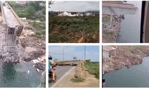 Video khoảnh khắc sập cầu thảm khốc ở trên tuyến giao thông chính giữa hai bang ở Brazil