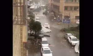 Video bão Wipha với gió giật mạnh và mưa như trút nước khi vào Quảng Đông, Trung Quốc