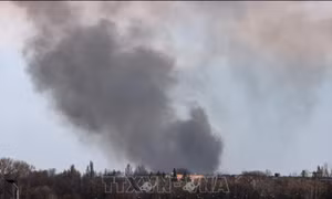 Chuyên gia quân sự: Nga chuẩn bị đợt tấn công lớn vào Donetsk trong mùa hè 2025