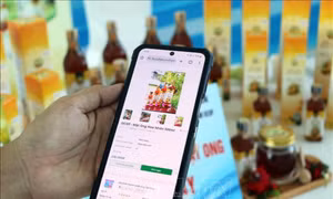 Bảo hộ tài sản trí tuệ cho doanh nghiệp trong kỷ nguyên số