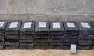 Bỉ thu giữ hơn 38 tấn ma túy