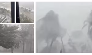 Video hình ảnh mưa gió kinh hoàng khi siêu bão Yagi đổ bộ vào Hải Nam, Trung Quốc