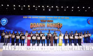 TP Hồ Chí Minh tôn vinh Doanh nghiệp, Doanh nhân tiêu biểu năm 2020