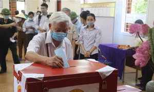 Ngày hội non sông trên quê hương Bác