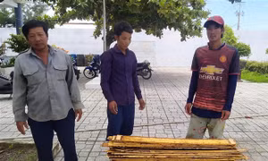 Cà Mau bắt quả tang ba đối tượng trộm cắp thiết bị của công trình điện gió