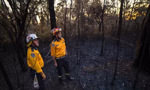Australia: Bang New South Wales 'gồng mình' ứng phó 70 vụ cháy rừng xảy ra trong ngày
