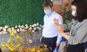 Hội thảo về chỉ dẫn địa lý cho mai vàng Bình Định