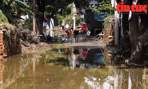 Mực nước các sông vùng lũ tại Hà Nội giảm, người dân dần ổn định cuộc sống