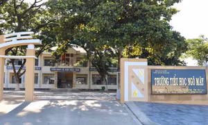 Gia Lai chấn chỉnh việc 'lạm thu' đầu năm học