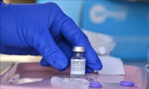 EMA phê chuẩn mũi vaccine tăng cường của Moderna và Pfizer/BioNTech