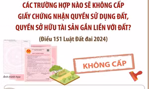 Các trường hợp không cấp Giấy chứng nhận quyền sử dụng đất, quyền sở hữu tài sản gắn liền với đất