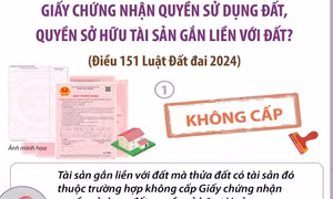 Các tài sản gắn liền với đất không được cấp Giấy chứng nhận quyền sử dụng đất, quyền sở hữu tài sản gắn liền với đất
