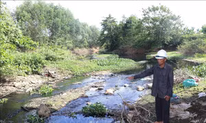 Quảng Ngãi xác định nguyên nhân ban đầu gây ô nhiễm kênh Chìm Sơn Tịnh