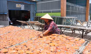 Nghề cá khô truyền thống giúp nhiều nông dân cải thiện thu nhập