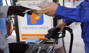 VPI dự báo giá xăng đồng loạt tăng trong kỳ điều hành ngày mai 18/1