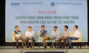 Mô hình hỗ trợ phát triển cà phê bền vững Tây Nguyên