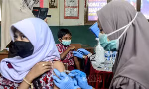Indonesia thử nghiệm lâm sàng giai đoạn 3 vaccine ngừa COVID-19 nội