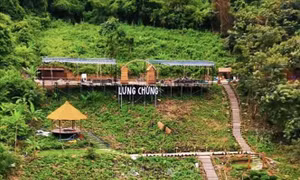Xử phạt hai chủ tiệm cà phê Lưng Chừng xây dựng trên đất rừng phòng hộ