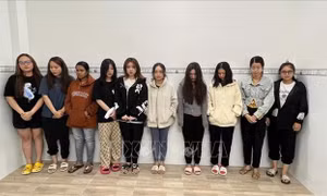 Cần Thơ: Bắt đối tượng cầm đầu nhóm thiếu nữ đòi nợ thuê