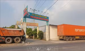 Hoạt động đăng kiểm của TP Cần Thơ vẫn diễn ra bình thường