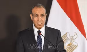 Ai Cập cam kết thúc đẩy giải pháp chính trị do Libya làm chủ