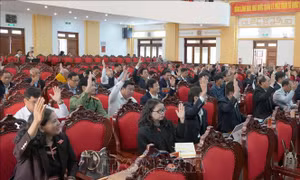 Quảng Ngãi: Điều chỉnh Quy hoạch tỉnh thời kỳ 2021 - 2030 sau hợp nhất 