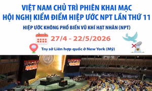 Việt Nam chủ trì Phiên khai mạc Hội nghị Kiểm điểm Hiệp ước NPT lần thứ 11
