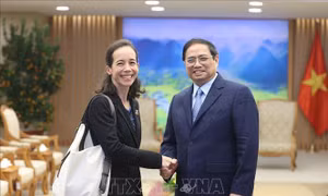 Thủ tướng Phạm Minh Chính tiếp Giám đốc điều hành Chương trình COVAX