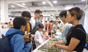Ngày hội sống xanh cùng Gen G, chung tay giảm phát thải CO2