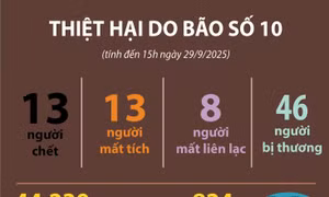 Thiệt hại do bão số 10 (tính đến 15 giờ ngày 29/9/2025)