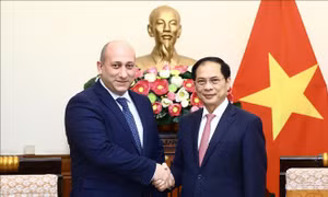 Bộ trưởng Ngoại giao Bùi Thanh Sơn tiếp Thứ trưởng Ngoại giao Grudia
