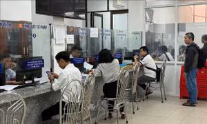 Thành phố Hồ Chí Minh: Kết thúc hoạt động đơn vị hành chính quận, huyện trước ngày 15/6