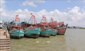 Khắc phục 'thẻ vàng' IUU: Số hóa dữ liệu, siết chặt quản lý tàu cá 